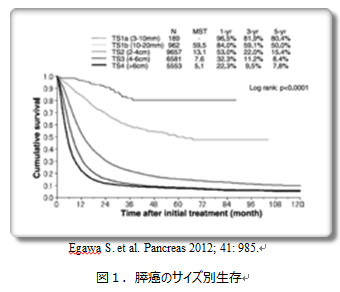 図１．膵癌のサイズ別生存