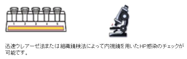 迅速ウレアーゼ法または組織鏡検法によって内視鏡を用いたHP感染のチェックが可能です。