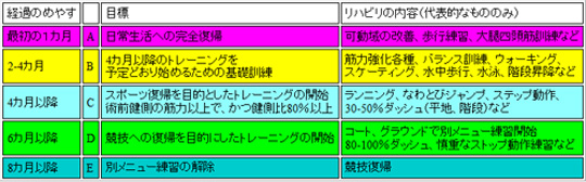 リハビリテーションの進行表