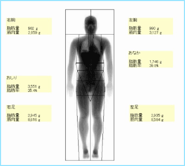 筋肉量、体脂肪率の計測画像