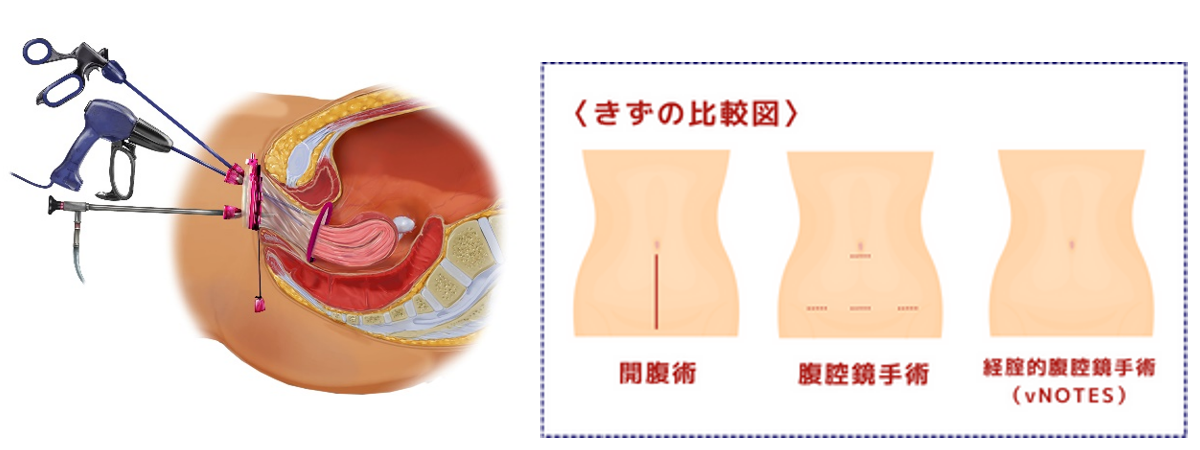 産科・婦人科