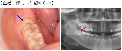 歯科・口腔外科の画像