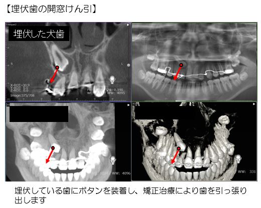 歯科・口腔外科の画像